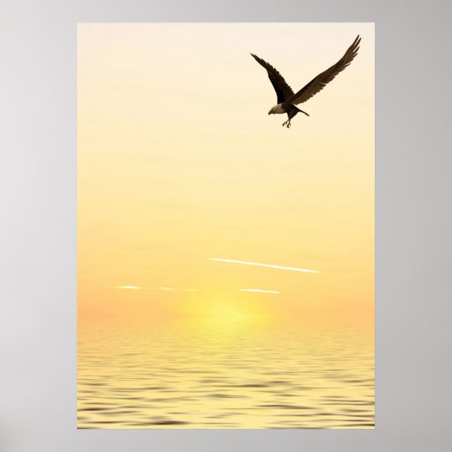 Póster Águila voladora (Frente)