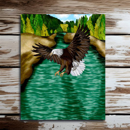 Póster Águila volando sobre el río en las montañas