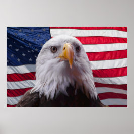 Póster Águila y bandera de Estados Unidos