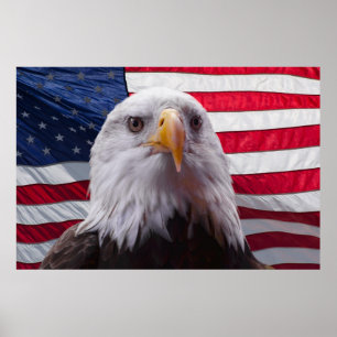 Póster Águila y bandera de Estados Unidos