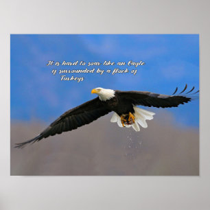 Póster Águila y pavos en aumento