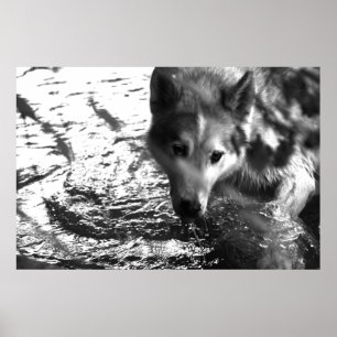 Póster Agujero de agua