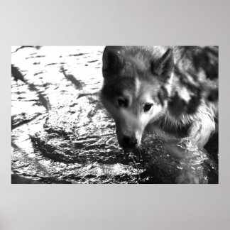 Póster Agujero de agua