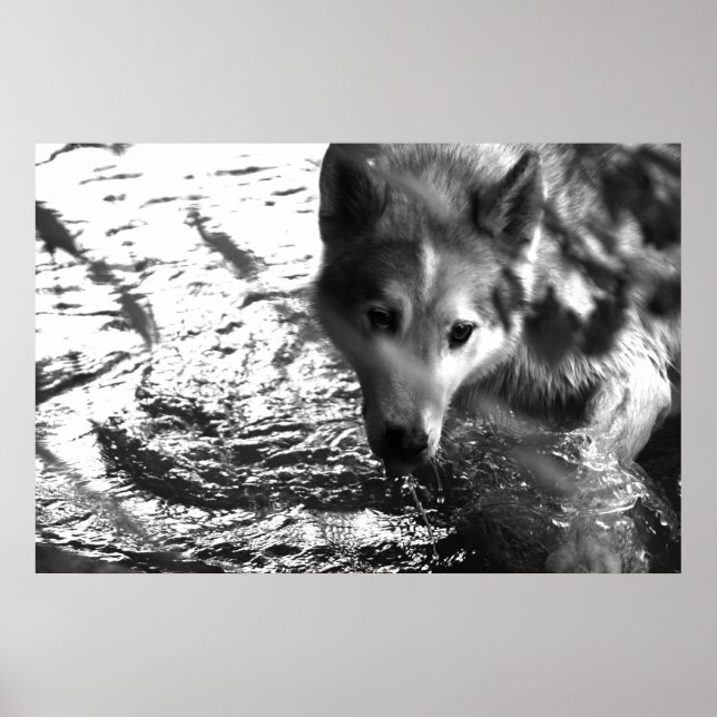 Póster Agujero de agua (Frente)