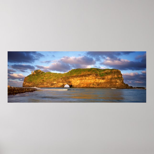 Póster Agujero En La Pared De La Costa Salvaje (Frente)