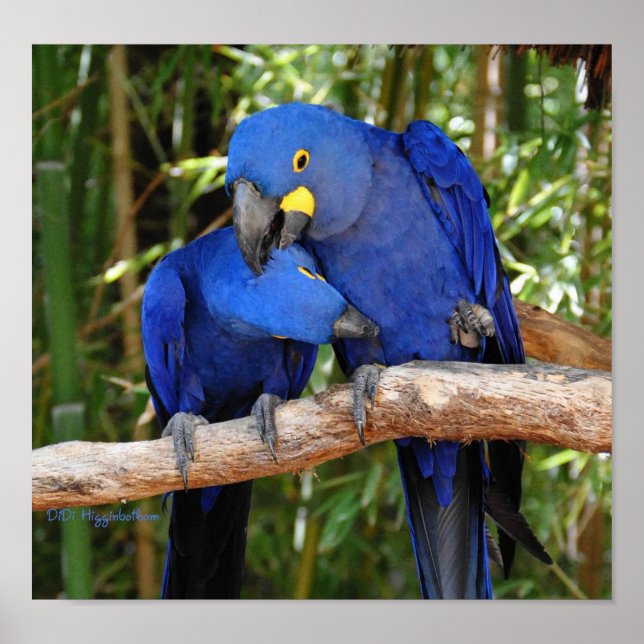 Póster Ahh Justo Ahí (Frente)