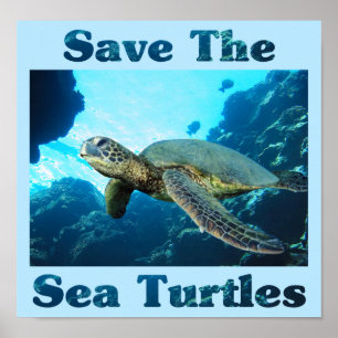 Póster Ahorre las tortugas de mar