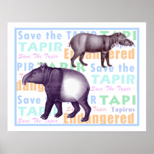 Póster Ahorre los Tapirs americanos y asiáticos del