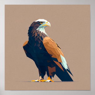 Póster Aigle