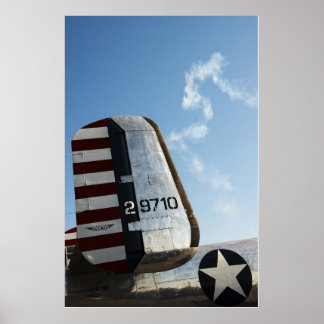 Póster Air Americana