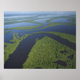 Póster Aire del archipiélago Anavilhanas, inundado