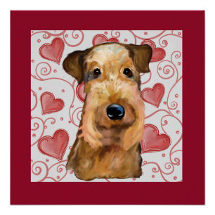 Póster Airedale Terrier