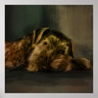 Póster Airedale Terrier Mixed Media