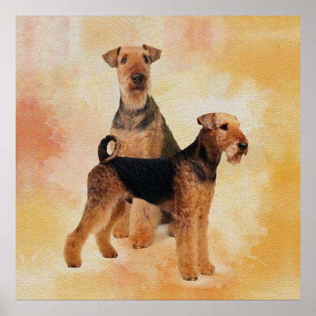 Póster Airedale Terriers Digital Art (Frente)