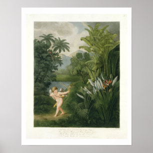 Póster Ajardine con el Cupid que apunta una flecha a un