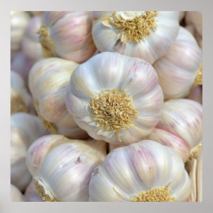 Póster ajo rosa