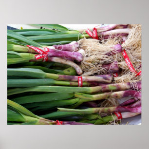 Póster Ajo verde