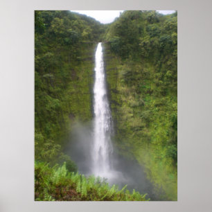 Póster Akaka cae en Hilo, Hawaii