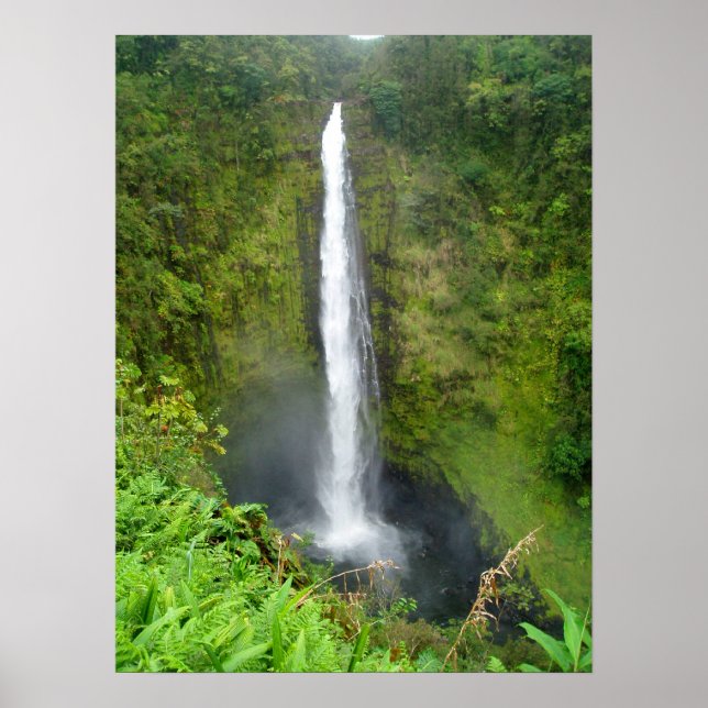 Póster Akaka Falls, Hawaii (Frente)