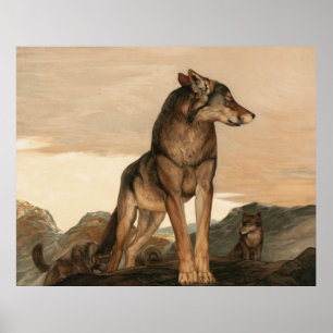 Póster Akela El lobo solitario de Maurice y Edward Detmol