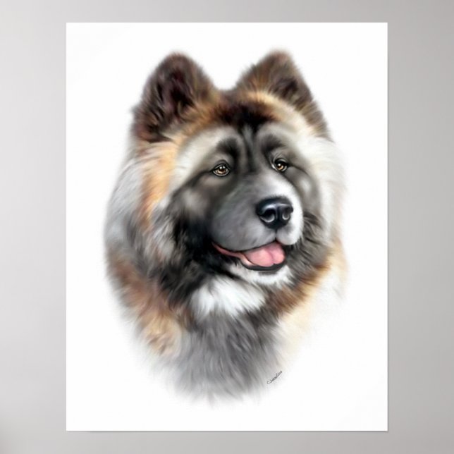 Póster Akita (Frente)