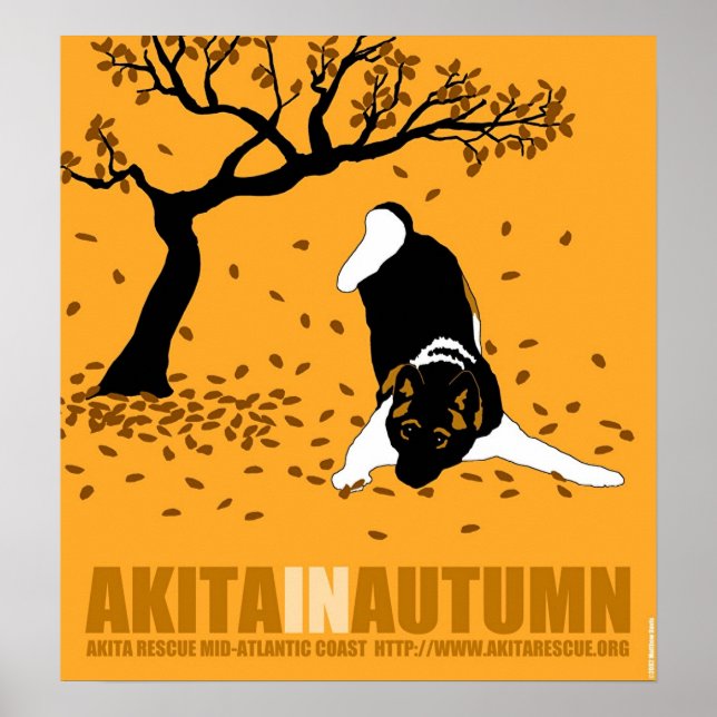 Póster Akita en otoño (18" x 19,5") (Frente)