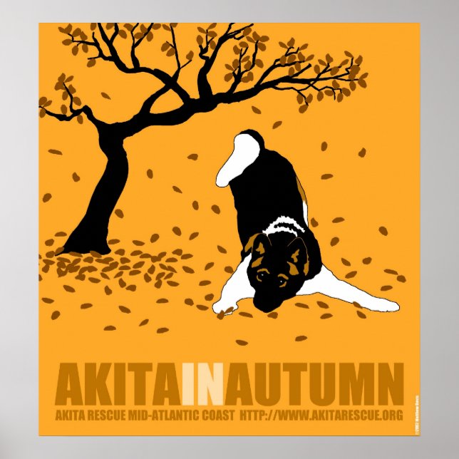 Póster Akita en otoño (24" x 26") (Frente)