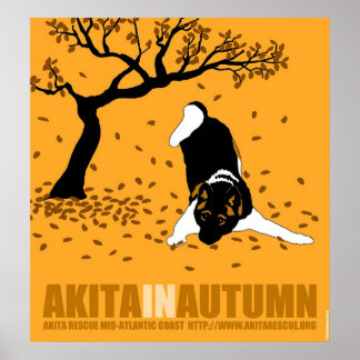 Póster Akita en otoño (32" x 34,5")
