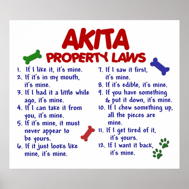 PÓSTER AKITA PL2 (Frente)