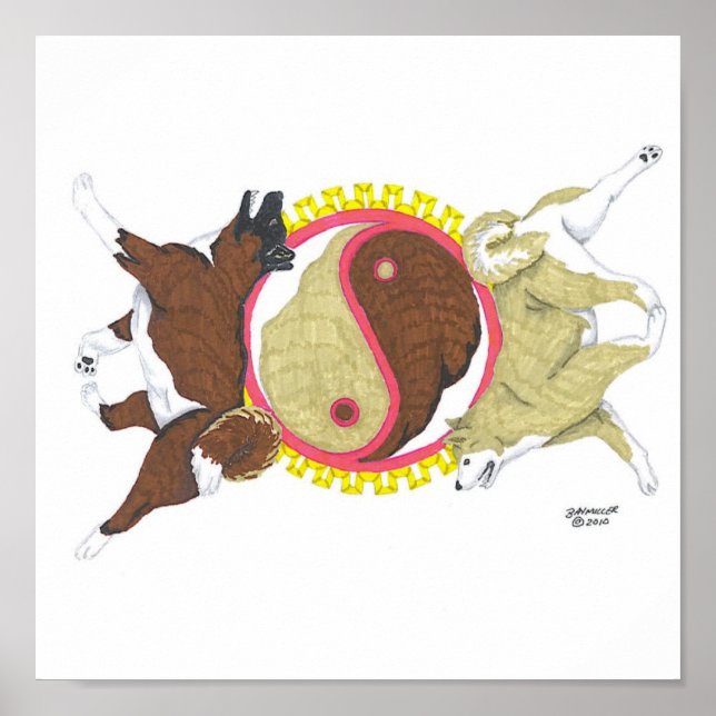 Póster akita yin y yang 2 (Frente)