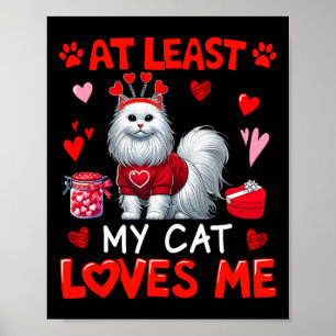 Póster Al menos mi gato me ama en el día de San Valentín
