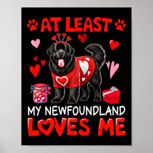 Póster Al Menos Mi Terranova Me Ama Pecado de San Valentí