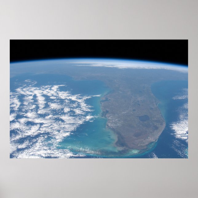 Póster Al Norte De La Península De Florida. (Frente)