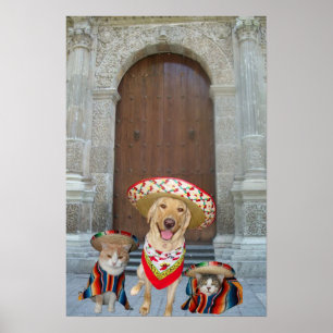 Póster Al viajar no se pierda de su grupo