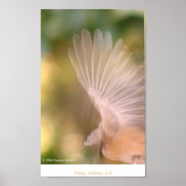 Póster Ala (Frente)