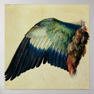 Póster Ala de un rodillo azul, 1512