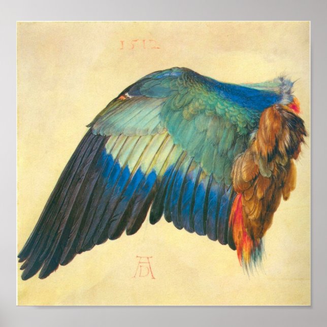 Póster Ala de una Basura de Albrecht Durer (Frente)