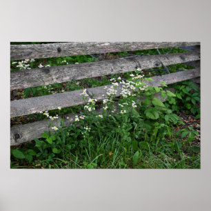 Póster Alambre con Poster Wildflowers