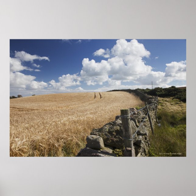 Póster Alambre De Baldosas Construido A Lo Largo De Una V (Frente)