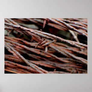 Póster Alambre de púas