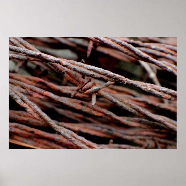 Póster Alambre de púas (Frente)