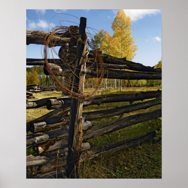 Póster Alambre de púas (Frente)