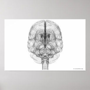 Póster Alambre del cerebro