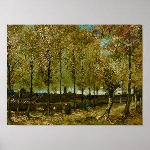Póster Álamos de Van Gogh cerca del paisaje de Nuenen