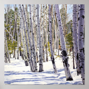 Póster Álamos en el Bosque