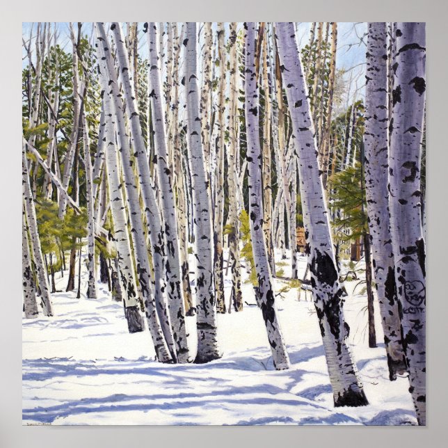 Póster Álamos en el Bosque (Frente)