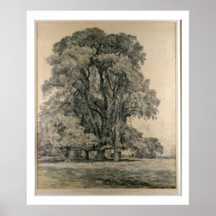 Póster Álamos en Old Hall Park, East Bergholt, 1817 (l