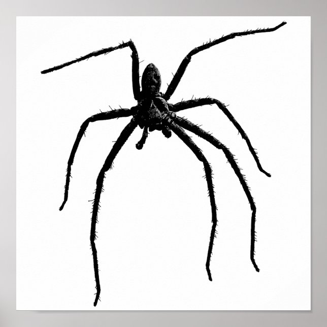 Póster Alarmante araña de halloween (Frente)