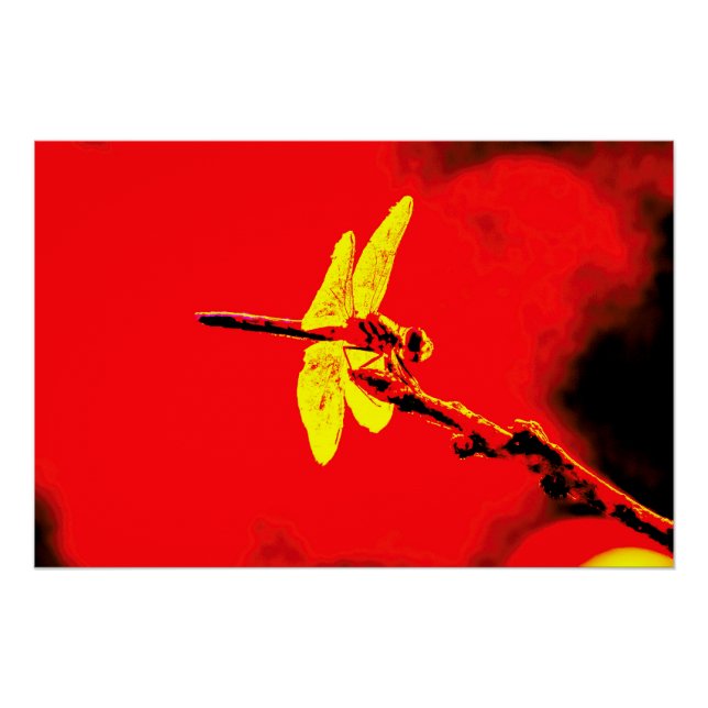 Póster Alas amarillas (Anverso)