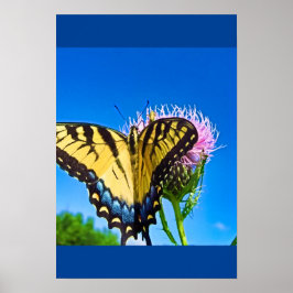 Póster Alas de amor